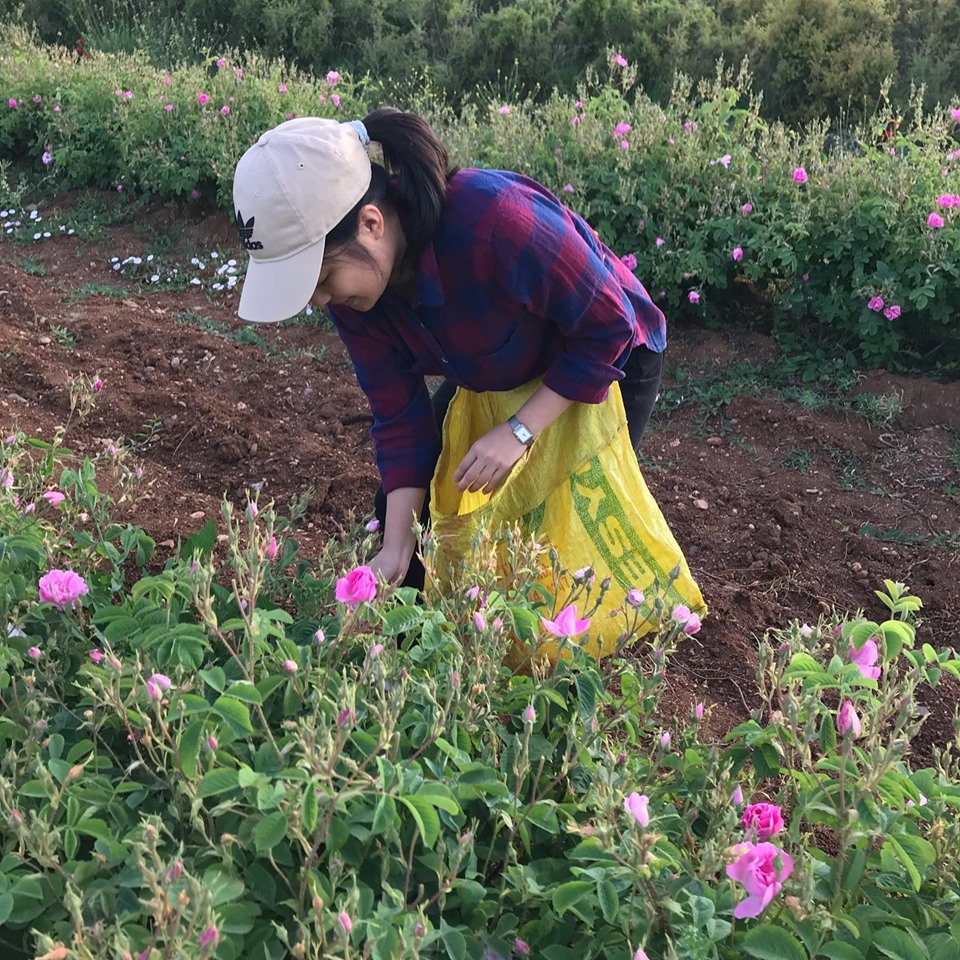 萬里芳踪